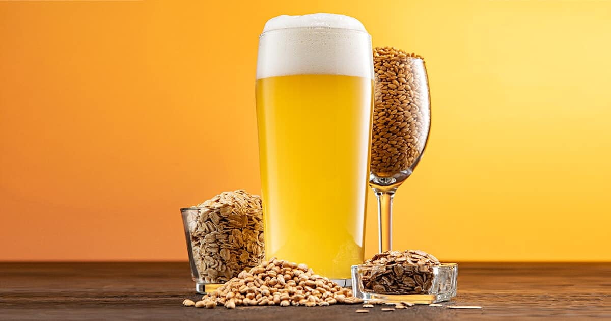 Descubre los mejores insumos de cervecería para tu próxima elaboración