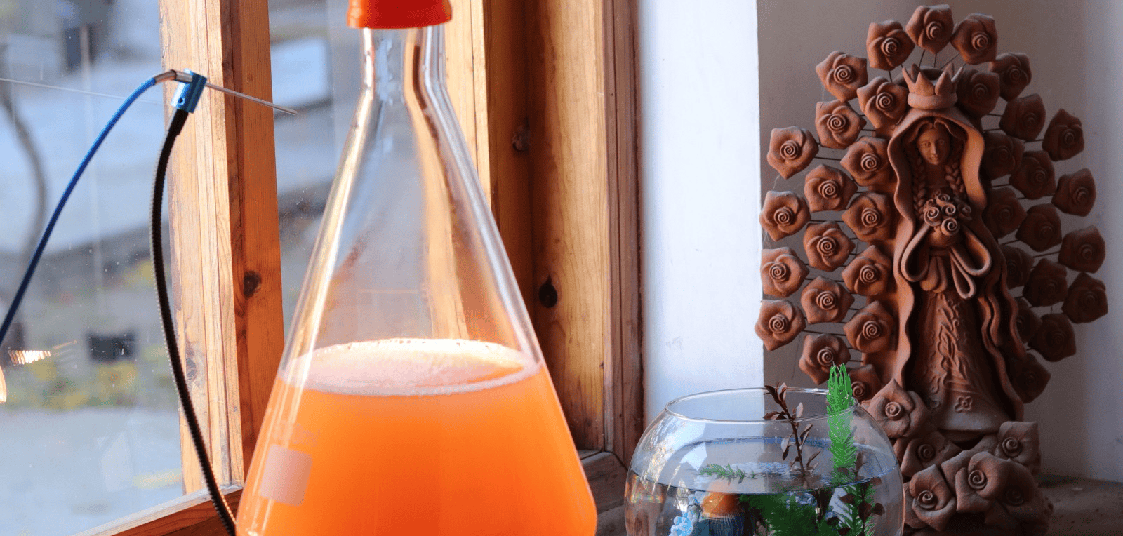 Guía Completa de Starters en Cerveza Artesanal: Qué Son y Cómo Usarlos para Mejorar tus Creaciones