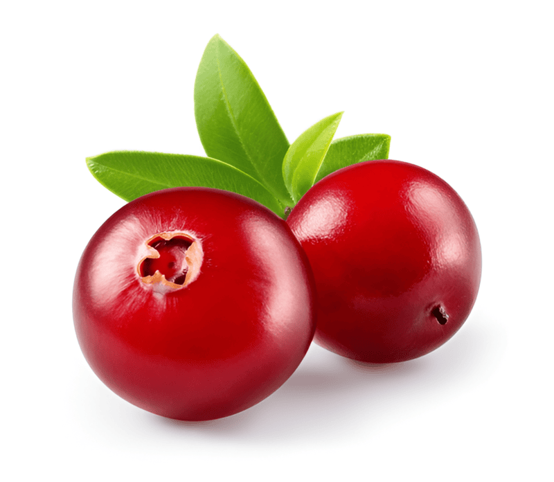 Cranberry Cranberry