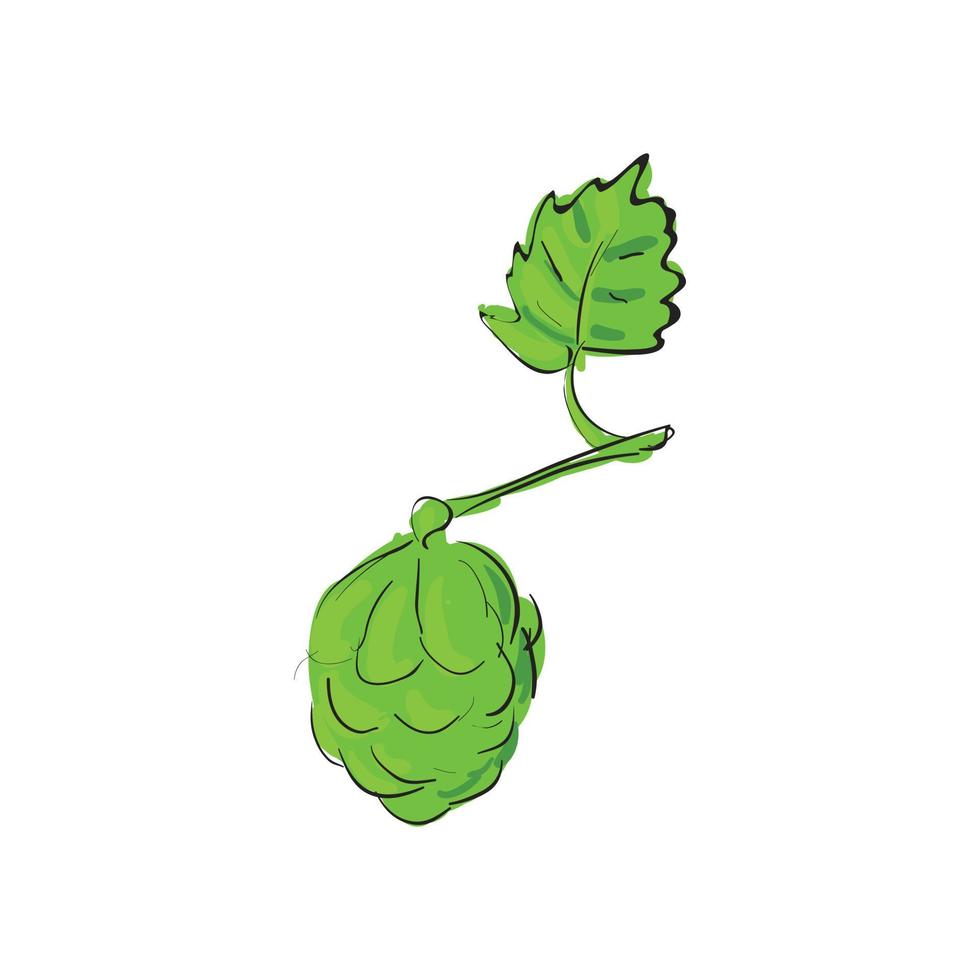 Northern brewer Northern brewer