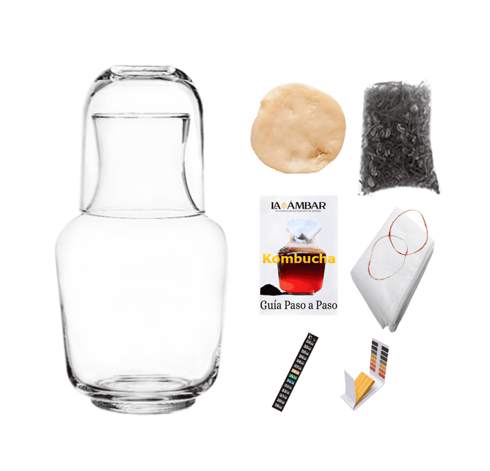 Kombucha Kombucha